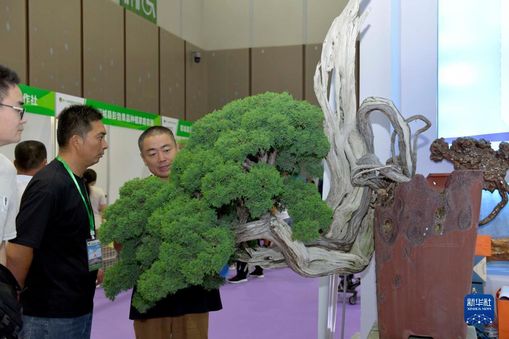 星云娱乐网址